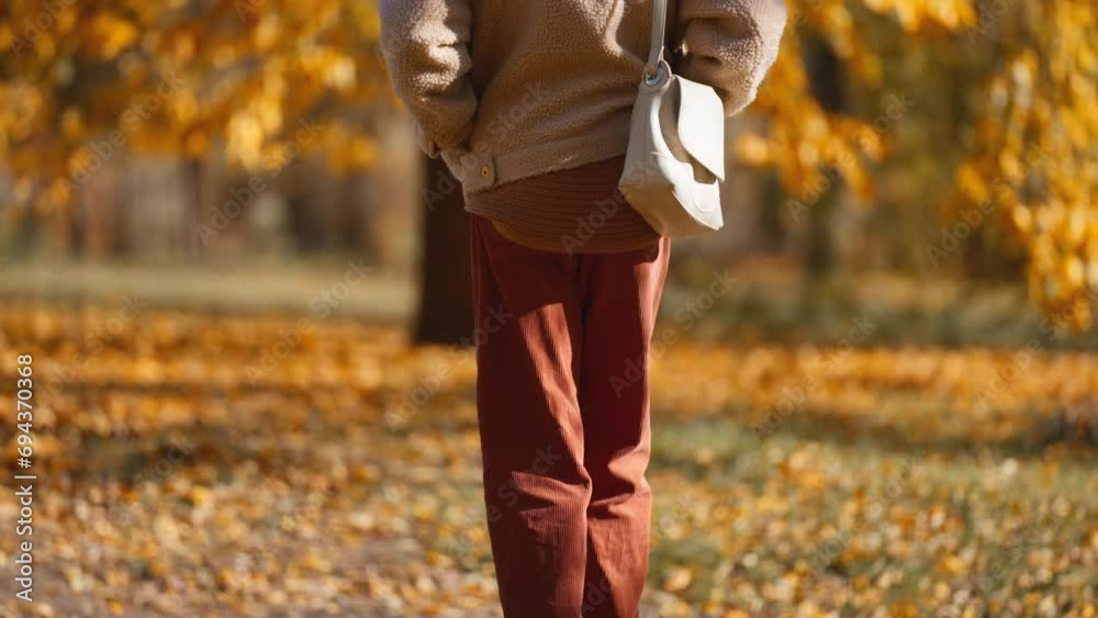 autumn portrait of beautiful stylish woman wearing in brown pants, sweater and cozy bomber jacket walking autumn park outdoors. girl on red and orange leaves background at sunny warm fall season day autumn portrait of beautiful stylish woman wearing in brown pants, sweater and cozy bomber jacket walking autumn park outdoors. girl on red and orange leaves background at sunny warm fall season day