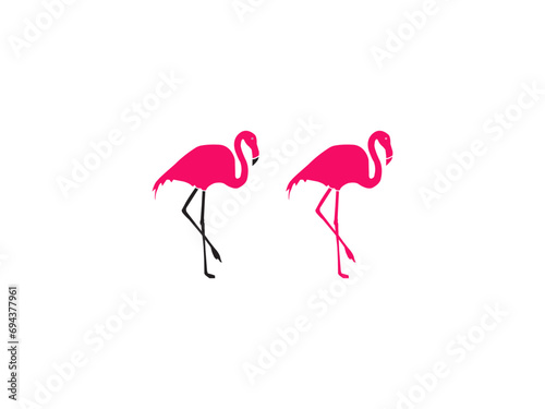 Pink flamingo on a white background