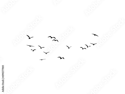 Group of flying bird make with vector