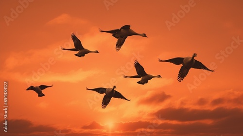 A flock of geese in V-formation against a dusky orange sky.