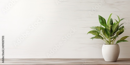 Chic table and houseplant by white wall