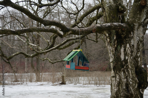 The beautiful bird house on a branch in a winter park