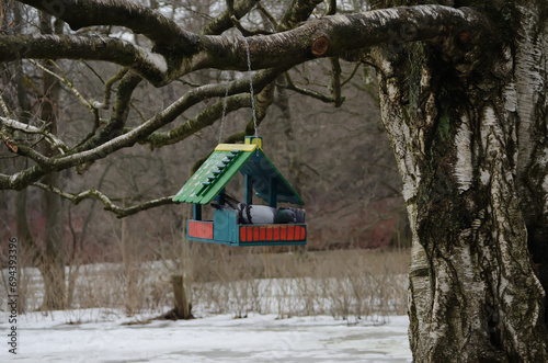 The beautiful bird house on a branch in a winter park