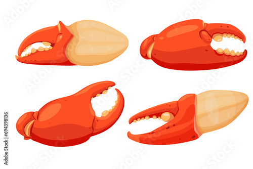 Boiled crab claws, crab meat with crab meat isolated on white background. Vector eps 10. perfect for wallpaper or design elements