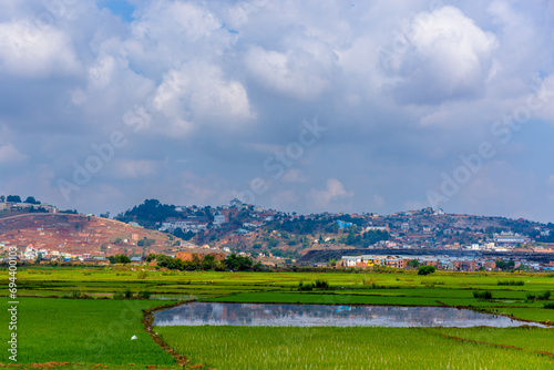 Paddy fields just outside the city, Antananarivo (Tana),  Madagascar photo
