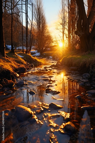  Golden Sunset over Spring Stream With Budding Trees Along the  Banks  Forest Creek