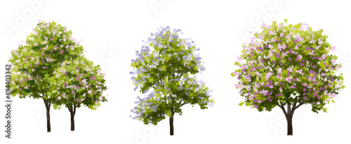 Vector watercolor blooming flower tree or forest side view isolated on white background for landscape and architecture drawing,elements for environment or and garden,shrub for section ,Set of floral,b