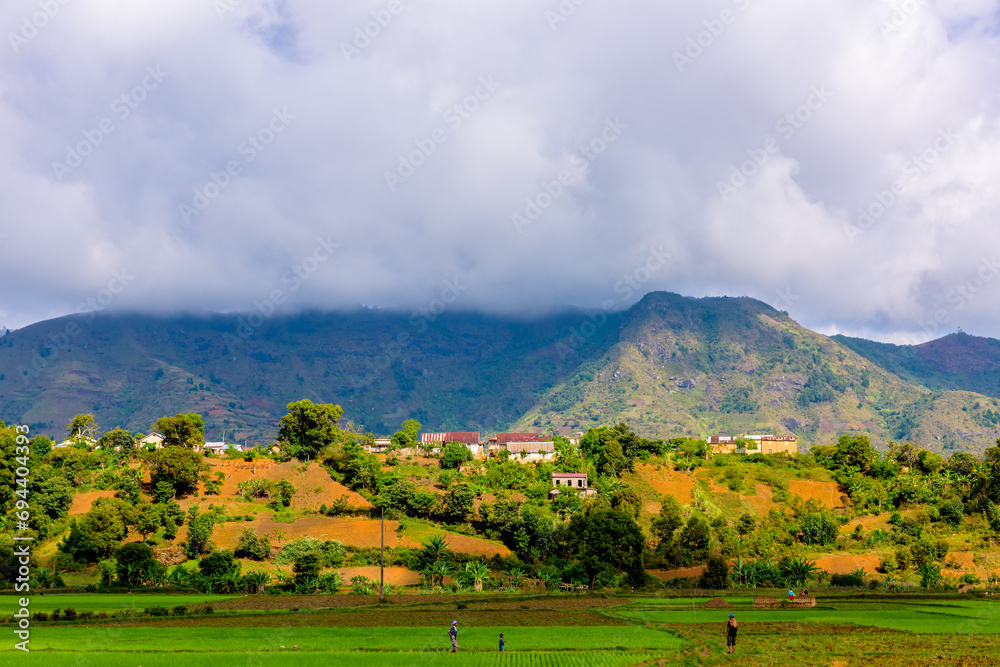 Fototapeta premium Paddy fields of Madagascar seen between Andasibe and Ansirabe, Madagascar