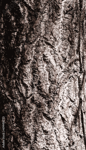 Vector illustration of ginkgo biloba tree bark. Tree bark background.  © Nataliia