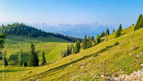 Lush green alpine pasture along hiking trail to the top of mountain peak Dobratsch, Villacher Alps, Carinthia, Austria, Europe. High mountain ranges in background. Tranquil wanderlust atmosphere