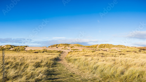 Fototapeta Naklejka Na Ścianę i Meble -  Blue sky above the sand dunes on Formby beach