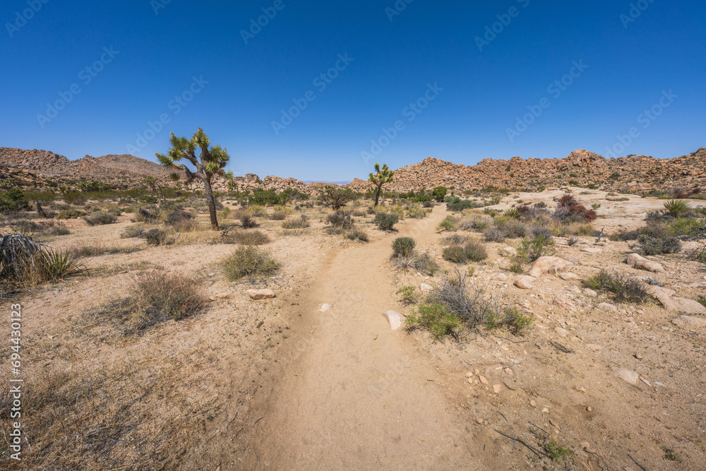 hiking the lost horse mine loop trail in joshua tree national park, california, usa