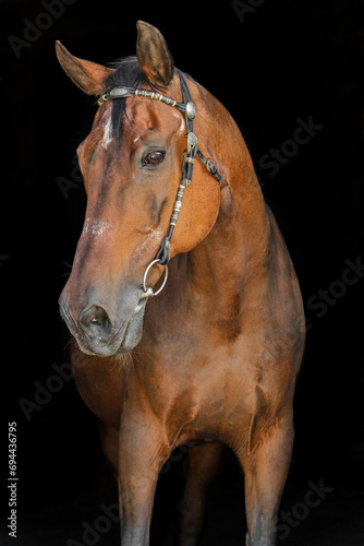 Portrait photo