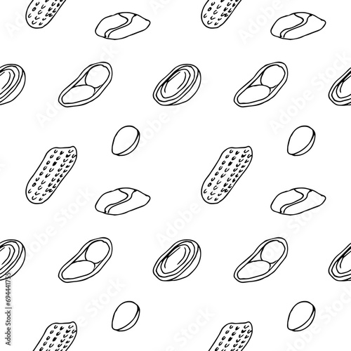 Peanut seamless pattern vector illustration, hand drawing