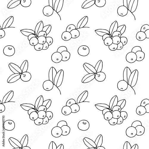 Cranberry seamless pattern, vector illustration hand drawing