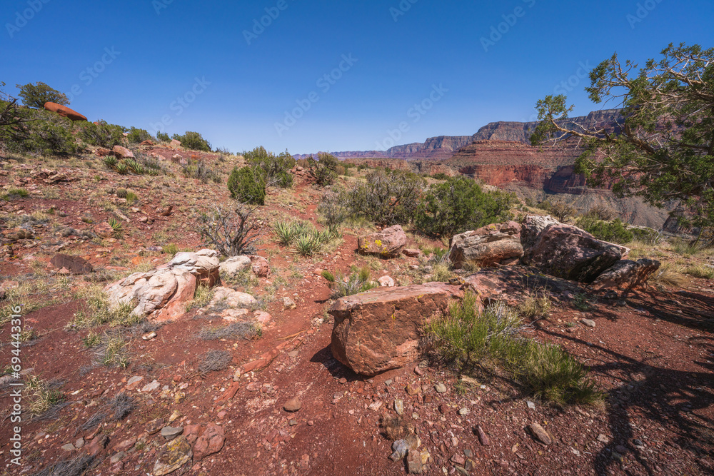 hiking the grandview trail in the grand canyon national park, arizona, usa