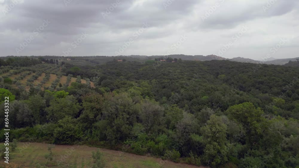 woods cloudy sky olive grove, Tuscany Italy. Gorgeous aerial view flight drone woods cloudy sky olive grove, Tuscany Italy. Gorgeous aerial view flight drone