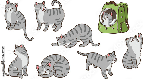 Simple and adorable illustrations of Grey Tabby Cat outlined