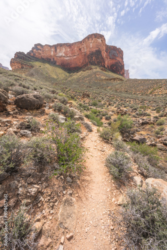 Obraz na płótnie hiking the tonto trail in the grand canyon national park, arizona, usa w salonie