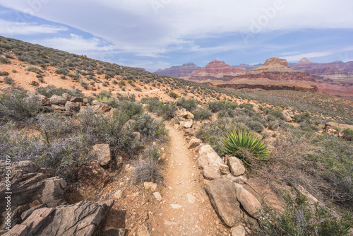 Obraz na płótnie hiking the tonto trail in the grand canyon national park, arizona, usa w salonie