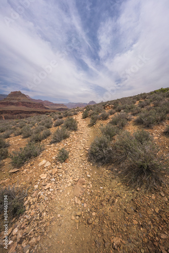 Obraz na płótnie hiking the tonto trail in the grand canyon national park, arizona, usa w salonie