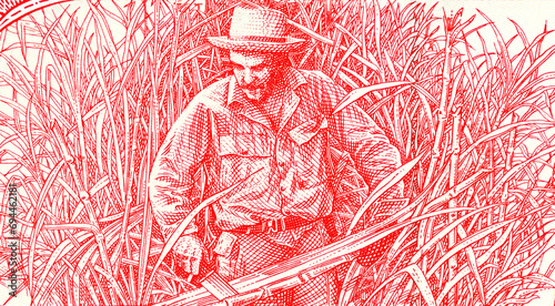 Ernesto Che Guevara harvesting sugar cane. Drawing from a Cuban banknotes