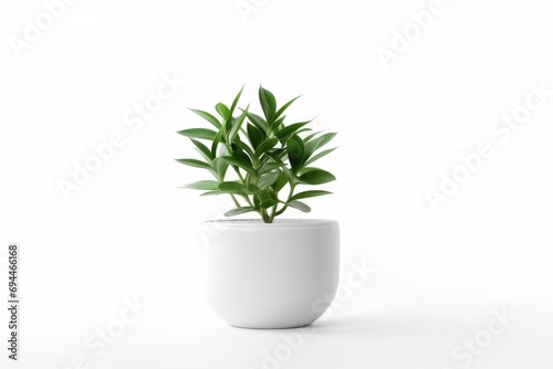 A plant in a white pot sitting on a white surface. Can be used as a minimalist home decor or in a botanical-themed design