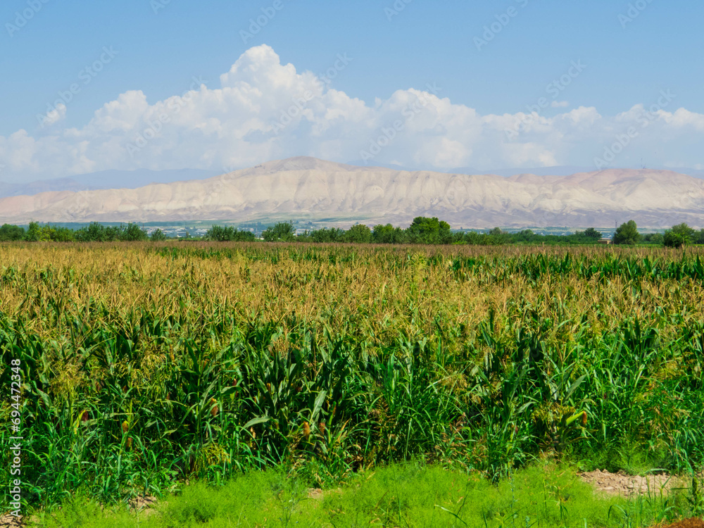 Typical Armenian landscape Typical Armenian landscape