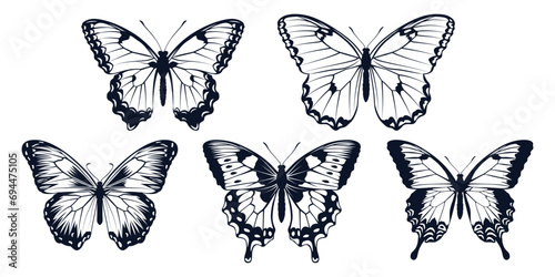 Black monochrome Butterfly Silhouettes Vector art © Adopik