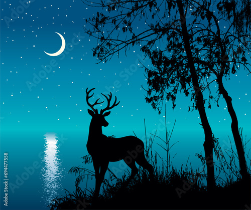 Silhouette of trees by the lake. Vector drawing