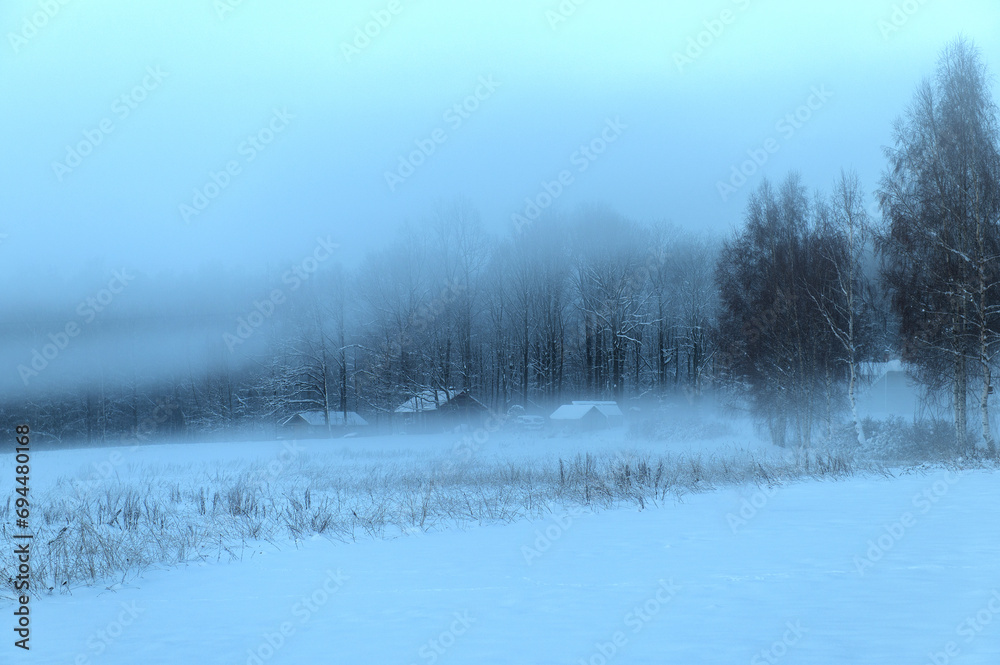 Houses and trees in white winter mist Houses and trees in white winter mist
