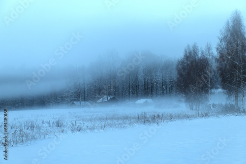 Houses and trees in white winter mist