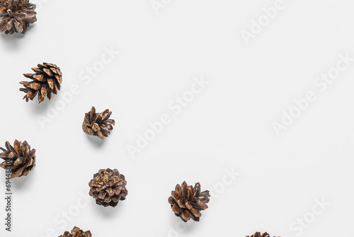 Many pine cones on white background