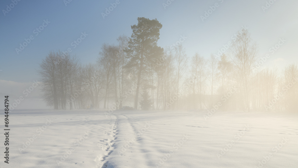 Vernebelte Bäume auf schneebedeckter Wiese im herrlichen Sonnenlicht