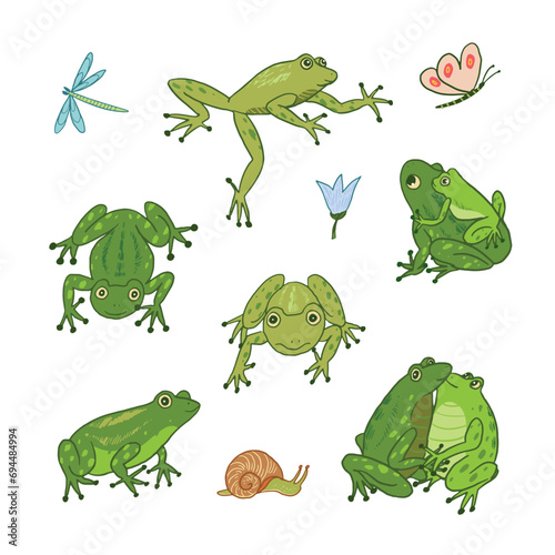 Set of cartoon doodle vector frogs animals.