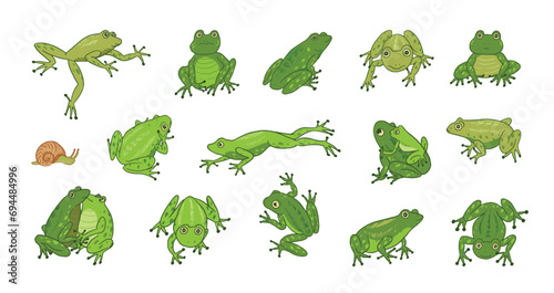 Set of cartoon doodle vector frogs animals.