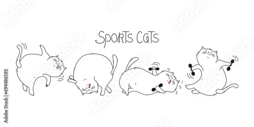 Cartoon Sports cats, training. Set,  lettering. Fat happy cats doing gymnastics. Cat with dumbbells, in yoga pose. Body positive. Doodle. Vector illustration. Background isolated.