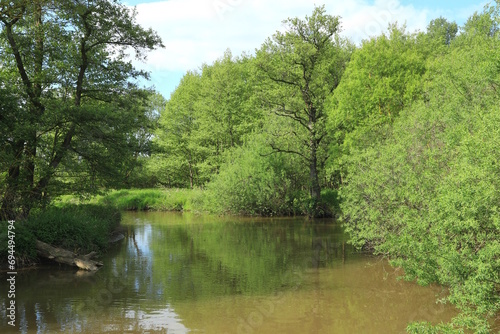 Die Schwalm bei Allendorf an der Landsburg