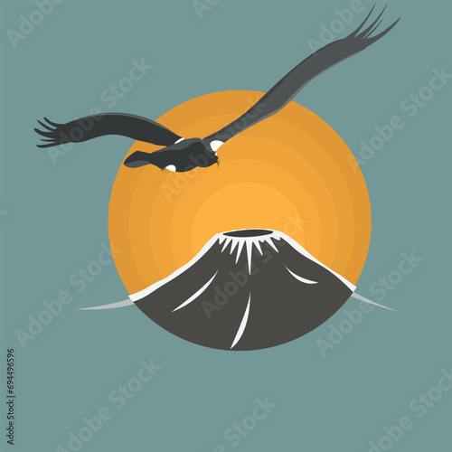 Steller's sea eagle fly. bird vector illustration flat style photo