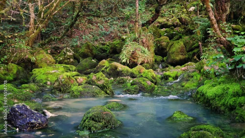 Tiny creek flowing from mountains falling into pond surrounded by lush plants and stones covered by green moss. Trees are growing on the slope of hill near lake. Trekking to Mingrelia woodland Tiny creek flowing from mountains falling into pond surrounded by lush plants and stones covered by green moss. Trees are growing on the slope of hill near lake. Trekking to Mingrelia woodland