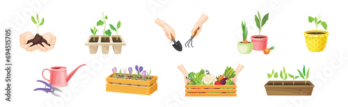Garden and Horticulture with Hand and Pot with Plant Vector Set