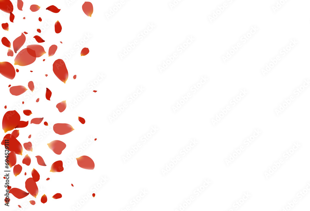 Red Rose Fall Vector White Background. Summer