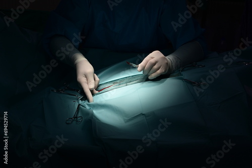 Operation eines auf dem Rücken liegenden Pferdes wegen Kolik in der Pferdeklinik