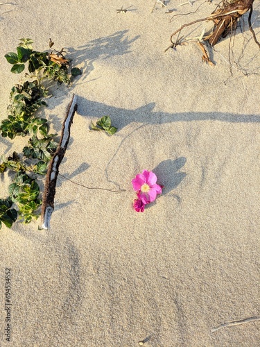 Una flor