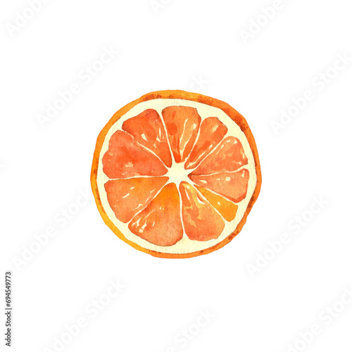 Orange slice on white. Watercolor illustration, poster.