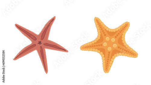 Beautiful sea star underwater creature from tropical beach resort and marine bottom isolated set