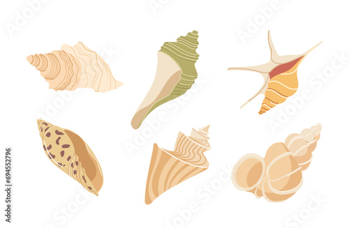 Tropical beach shells, decorative aquarium scallop mollusks and snail seashell isolated set on white