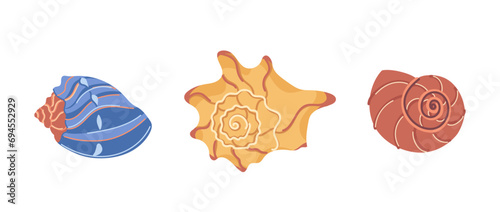Ocean exotic underwater seashell, spiral snail shell, aquatic mollusk, sea conch inhabitant