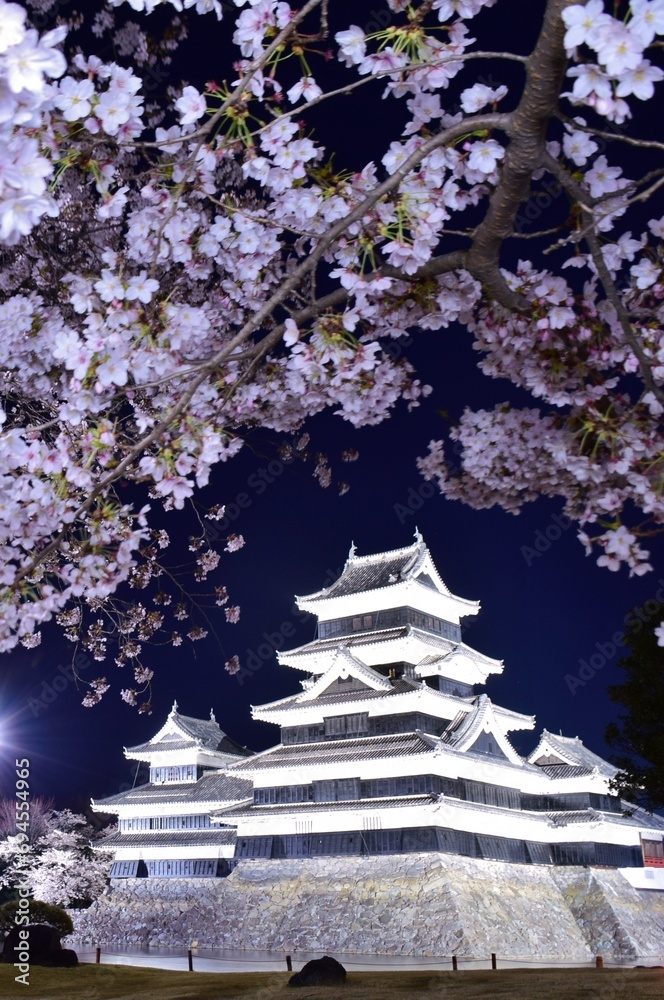 Spring night scenery in Matsumoto castle, Nagano Spring night scenery in Matsumoto castle, Nagano