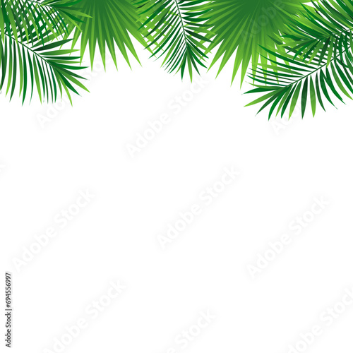 tropical frame vector. Green tropic card with rainforest plants and leaves. Amazon foliage promo banner. fresh idea for travel cover. advertising card, summer holidays, party designs.